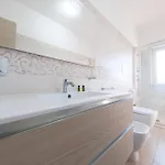 Damilhouse 7 *